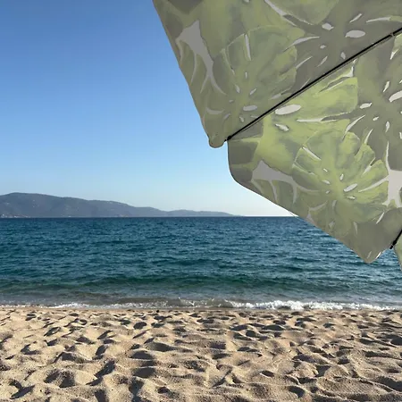 Maison De Charme Proche En Corse Du Sud Nyaraló